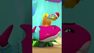 Cinq Petits Bébés Requins shorts reels cartoon fivelittlebabyshark kids [upl. by Amaras156]