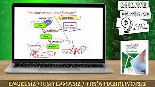 BİYOKİMYA  AMİNO ASİTLERE GİRİŞ [upl. by Whitten]