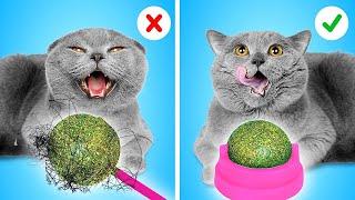 ¡DISPOSITIVOS esenciales para gatos Cómo esconder mascotas de tus padres por La La Vida Juegos [upl. by Akenet418]