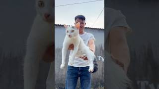 A boy helps a girl save a kidnapped cat trending comedy cat [upl. by Vola]