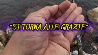 SI TORNA ALLE GRAZIE [upl. by Anerys]