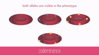 NonMendelian Genetics [upl. by Adolphus]