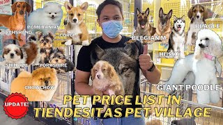 UPDATED PET PRICE LIST IN TIENDESITAS PET VILLAGE  SO CUTE MUST WATCH [upl. by Heinrike775]