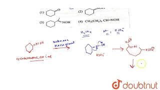 Caprolactam a starting material for the manufacture of nylon 6 is prepared by sulhpuric acid [upl. by Nort]