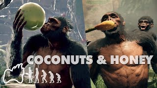 How to Eat Coconuts and Honey in Ancestors The Humankind Odyssey [upl. by Cordova]