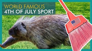 Porcupine Races These rodents are athletes  WEIRD July 4th Tradition in Idaho [upl. by Anelad157]