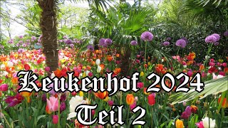 Keukenhof 2024 Teil 2 [upl. by Vassily149]