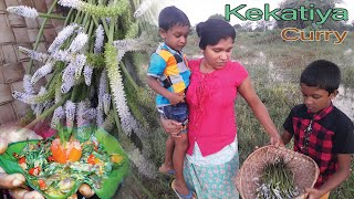 Kekatiya curry  කෙකටිය  kecatiya maluwa  Geviliya taste [upl. by Annairb]