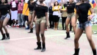 Choreography by DanceHall Queen Yaya SOCA CARNIVAL BLACKOUTWK 4162011 [upl. by Barnaby452]