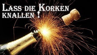 Lass die Korken knallen   Silvester Videos lustig für WhatsApp [upl. by Veljkov932]