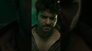 शेर आया  RAAYAN  Dhanush  Sun Pictures  AR Rahman [upl. by Jollenta]