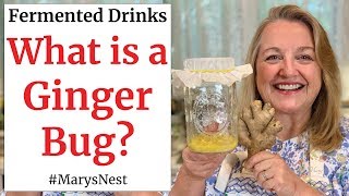 How to Make a Ginger Bug for Making Probiotic Rich Fermented Drinks [upl. by Ahseinek]