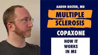 How Copaxone Works in MS Mechanism of Action Explained in 60 Seconds [upl. by Cairns]