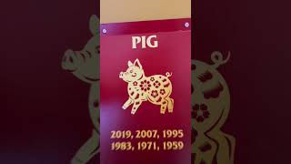 Chinese New Year 2024 Horoscope  Pig Zodiac lucky lunarnewyear zodiac yearofthedragon [upl. by Spencer]