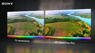 ¿Qué es XR Triluminos Pro™ [upl. by Lrig977]