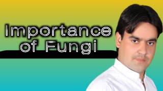 Importance of fungi  class 11  Dr Mushtaq lectures [upl. by Ecnarepmet]