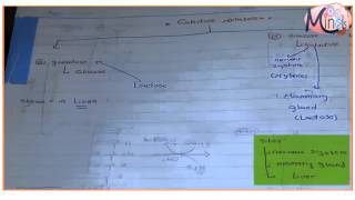 Uronic acid pathway and galactose metabolism [upl. by Brag]