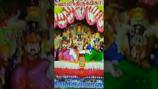 8112024 Maruthamalai Murugan Thiru kalyanam Maruthamalai COIMBATORE ShortsTamil [upl. by Annoirb]