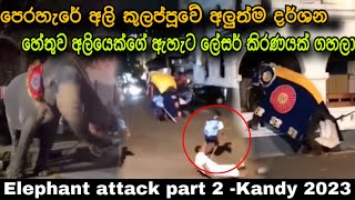 Elephant attack new footage Kandy esala perahera 2023 elephant attack අලිකුලප්පුව esalaperahera [upl. by Yolanda]