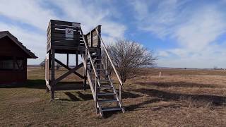 4K UHD Nationalpark Neusiedler See – Seewinkel Lange Lacke amp Wörthenlacken Bewahrungszone Apetlon [upl. by Salocin]