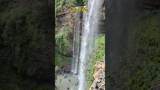 Aapkhol Waterfall  Bargarh Biggest Waterfalls Nature  Hills  Park BeautifulPlace aapkhol shorts [upl. by Annair]