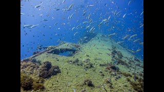 Scuba Dive Yongala Wreck Australia  20131119 [upl. by Dajma58]