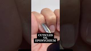 Cuticles Vs Eponychium short acrylicapplication nailtech beginnernailtech nailtechlife [upl. by Orsa]