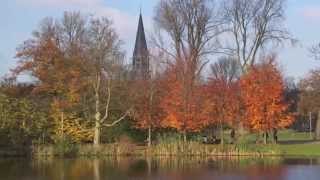 Netherlands National Anthem  Dutch Hymn  Nationalhymne Niederlande [upl. by Comyns]