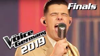 Max Raabe Lucas Rieger  Guten Tag liebes Glück Live  The Voice of Germany 2019 [upl. by Araeit360]