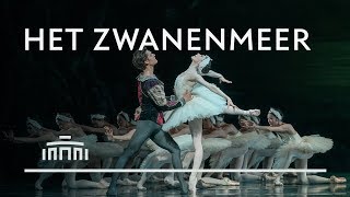 Het Zwanenmeer 2019 trailer  Het Nationale Ballet [upl. by Aihsinat]