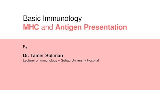 Dr Tamer Soliman  Basic Immunology  MHC Molecules and Antigen Presentation [upl. by Onairpic]