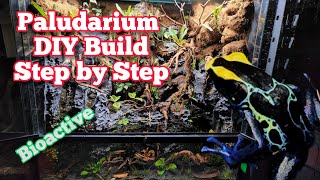 How To Build A Paludarium DIY In Depth Tutorial paludarium bioactive [upl. by Aiouqes]