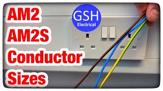 AM2 and AM2S Top Tips  Wiring Sockets in Dado Trunking [upl. by Ennovoj328]