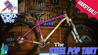 Squatch Bikes New Bike Day  The STEEL POP TART  Custom Painted HARDTAIL NS Eccentric Cromo 29 [upl. by Ahseirej]