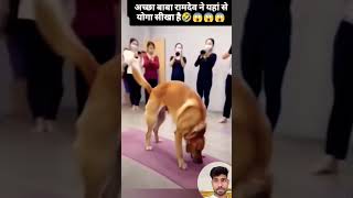 Yoga se sabkuchh hoga 😂😂ytshorts viralshorts trending [upl. by Nagle]