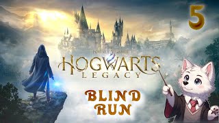 Hogwarts Legacy  BLIND RUN  Episodio 5  ITA  pc magia hogwartslegacy harrypotter [upl. by Nela21]