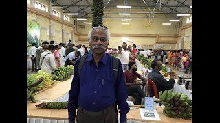 FOOD MELA IN BANANA FESTIVAL 22 to 24th Nov 2024 in Mysore  Nanjaraj Bahadur Choultry Banana Feast [upl. by Amsden]