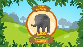 Asian Elephant  Leo The Wildlife Ranger Animal Diaries  Learning for Kids  Animal Facts [upl. by Eah721]