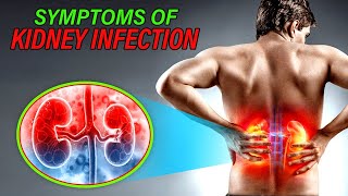 Symptoms of Kidney Infection [upl. by Aynot]