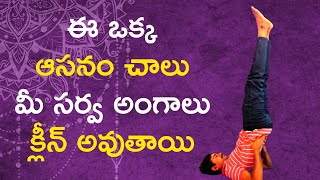 Sarvangasana  How To Do Sarvangasana In Telugu  Benefits Of Sarvangasana [upl. by Jonathon516]