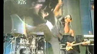 Shaggy It Wasnt Me Live Rik Rok Rayvon  Party in the Park 2002 [upl. by Akkina117]