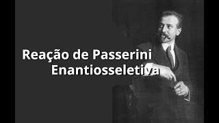 UFJFSEMIC 2023  IMCR de Passerini por Enantiosseletividade Controlada pelo ContraÂnion [upl. by Ydnar]