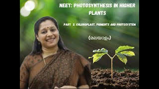 NEETPHOTOSYNTHESIS IN HIGHER PLANTS PART2MALAYALAM PIGMENTS CHLOROPLAST PHOTOSYSTEMS [upl. by Frodin]