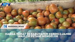 HARGA TOMAT DI KABUPATEN KERINCI JAMBI ANJLOK PETANI MENGELUH [upl. by Brigham]