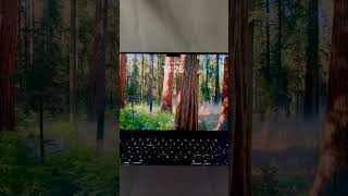 Otwarcie klapki Macbook ProMacOS Sequoia [upl. by Gereld]