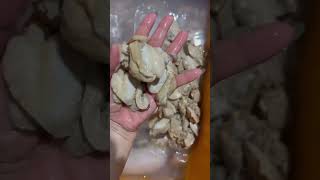 Kerang kupas youtubeshorts makananlaut food seafood clam kerang oysters oyster [upl. by Norita]