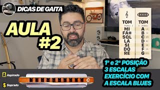 Dicas de Gaita  AULA 2  1ª e 2ª posição  Escala Blues com exercício [upl. by Linneman]