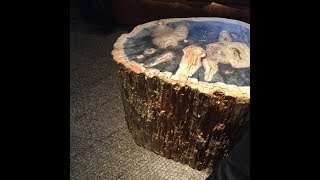 Petrified Wood Coffee Table [upl. by Brunhilda]