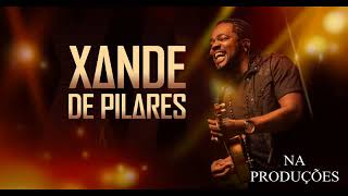 Xande de Pilares  Roda de Samba  CD Completo 2018 [upl. by Annaegroeg]