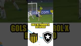 Gols de Peñarol x Botafogo na Libertadores ⚽🔥 [upl. by Ellatnahc855]